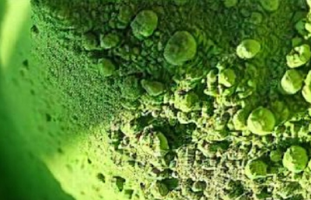 kratom obrázek